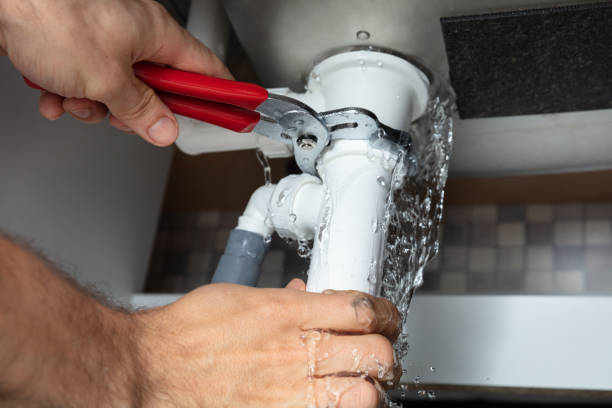 Best Water damage cleanup near me  in Lenox, IA