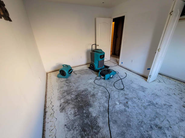 Best Ceiling water damage repair  in Lenox, IA