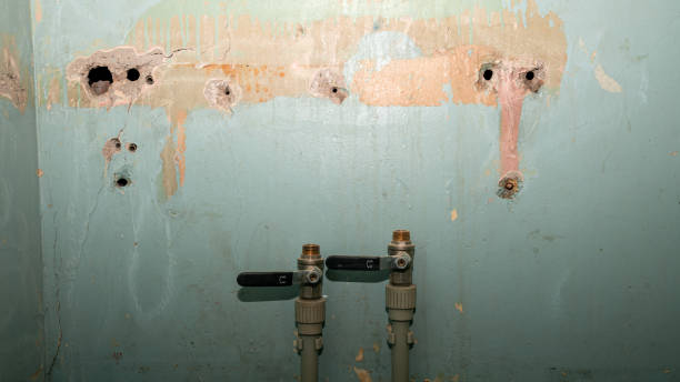 Reliable Lenox, IA Water damage restoration Solutions